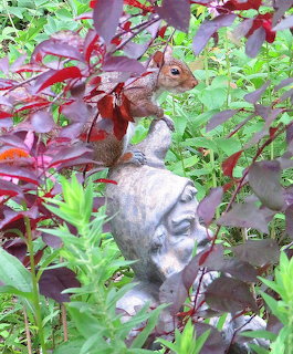 Squirrel on Garden Gnome
