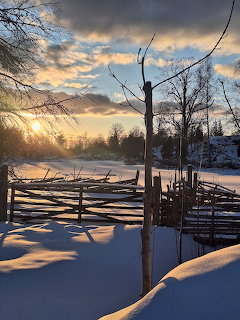 Rustic wooden fence in deep snow at sunrise with bare trees and golden winter light