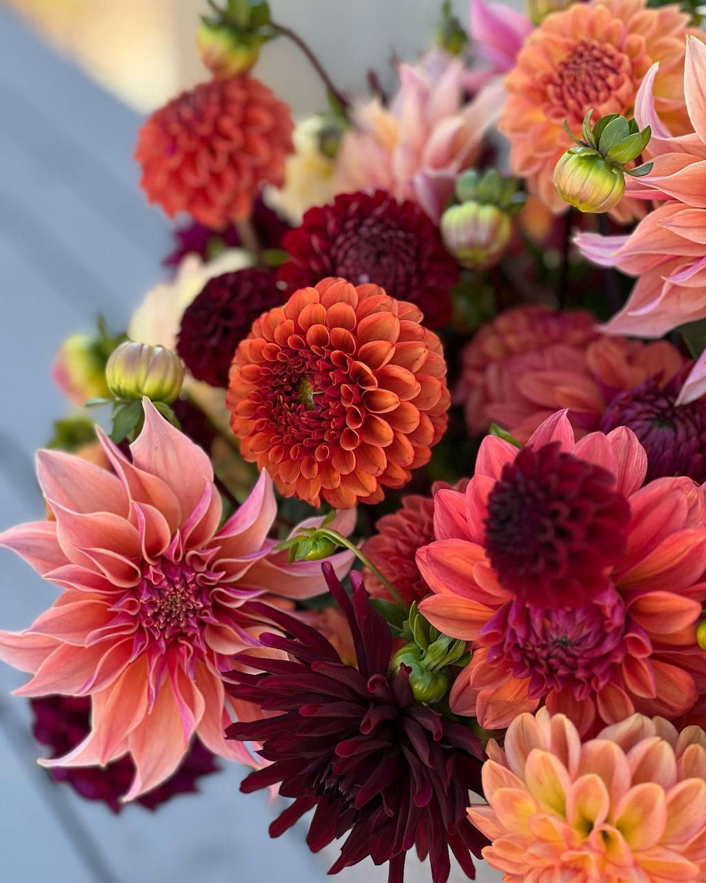 Close-up of a colorful dahlia flower bouquet in orange, peach, and burgundy tones