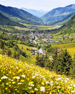 Alpine valley village surrounded by green mountains with yellow and white wildflowers in the foreground