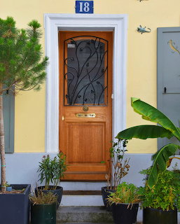 Wooden Door Plants