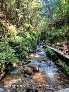 Rocky stream flowing through a forested gorge with a wooden boardwalk beside it, New Hampshire