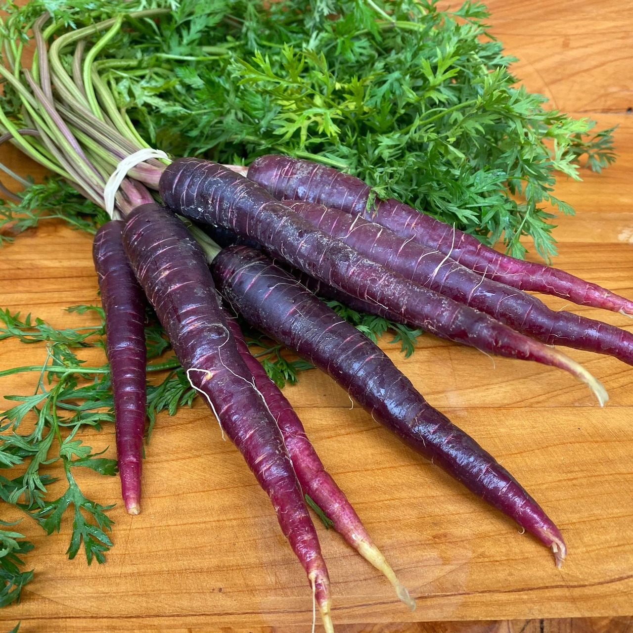 Bundle of fresh purple carrots with leafy green tops on wooden cutting board