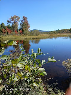 Calm lake with lily pads, autumn foliage, and distant mountains under clear blue sky in Maine