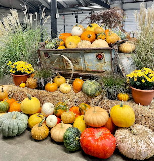 Autumn Pumpkin Display