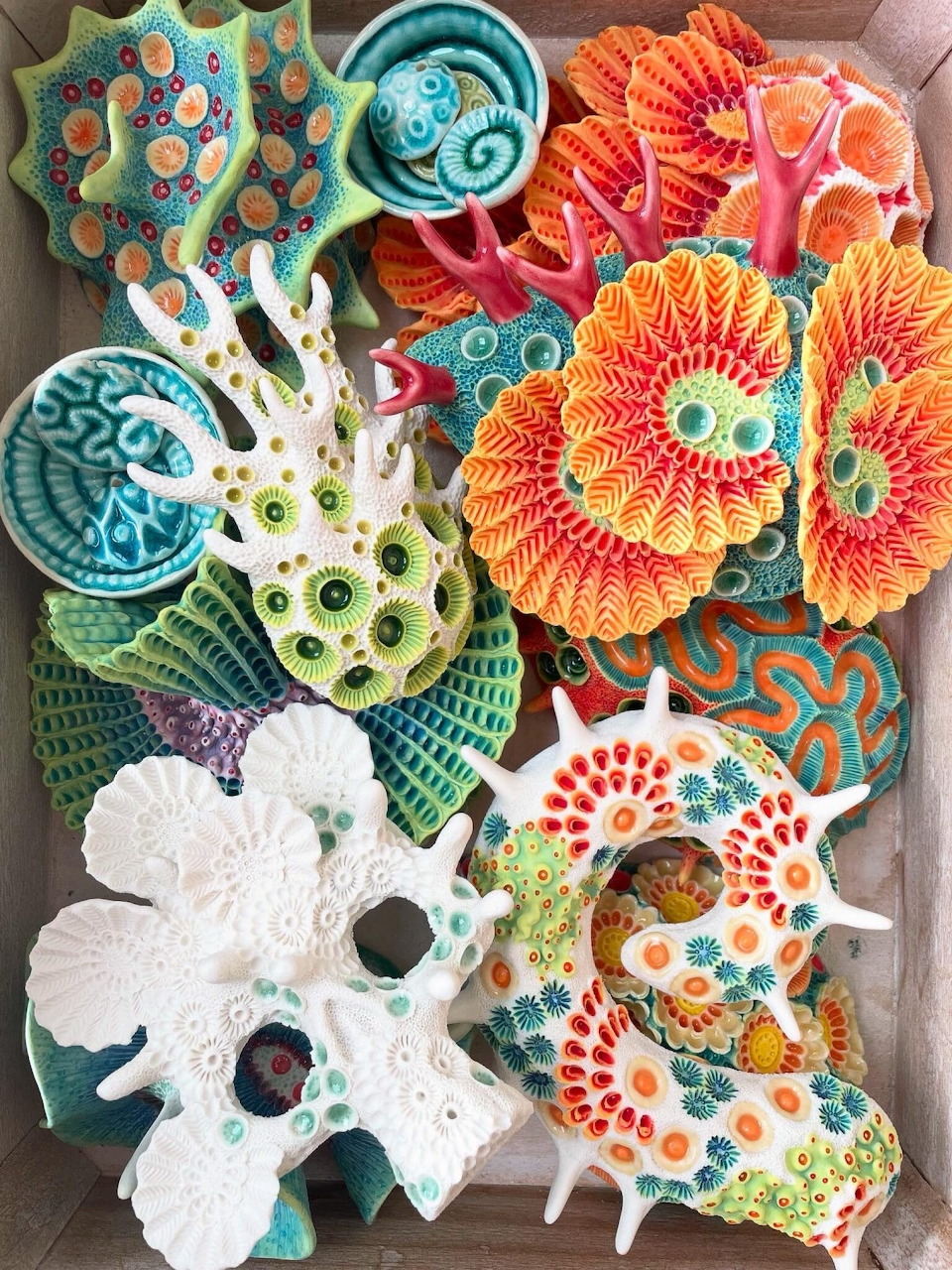 Colorful ceramic organic sculptures resembling coral and sea forms arranged in a tray