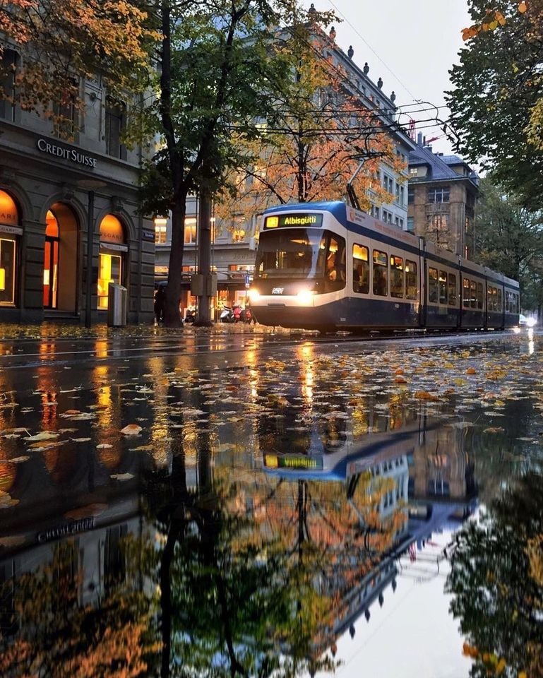 Zürich tram reflected in wet street at dusk with autumn trees and historic buildings
