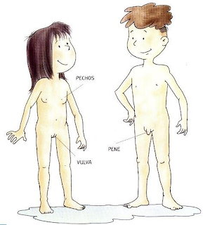 Simple anatomical diagram of two children standing, labeled in Spanish