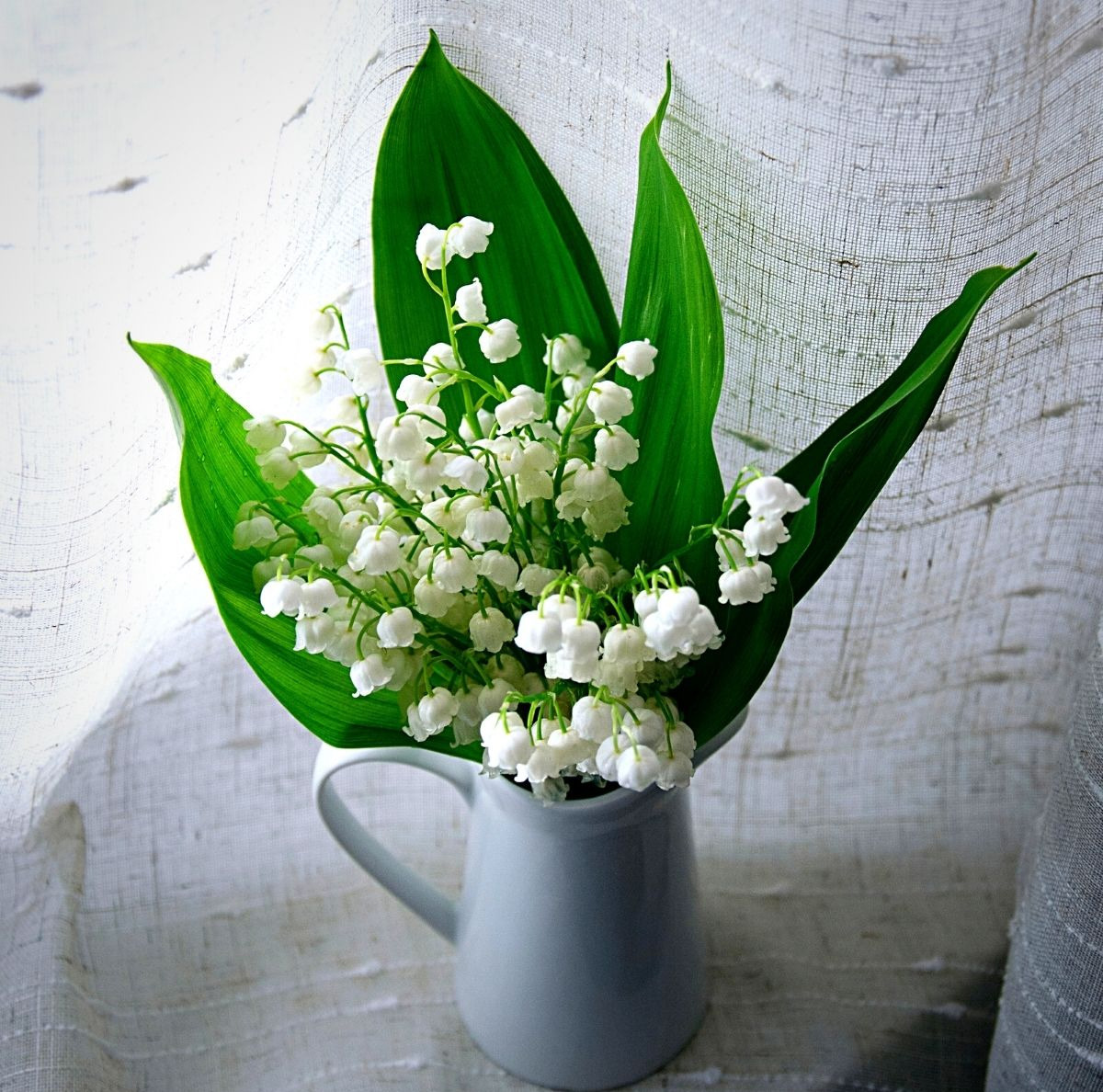 White lily of the valley blooms with green leaves in a gray ceramic pitcher on light fabric