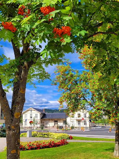 Tree-lined park with red flowers and white buildings in Norwegian town square