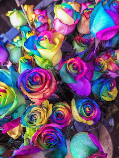Rainbow Roses Bouquet