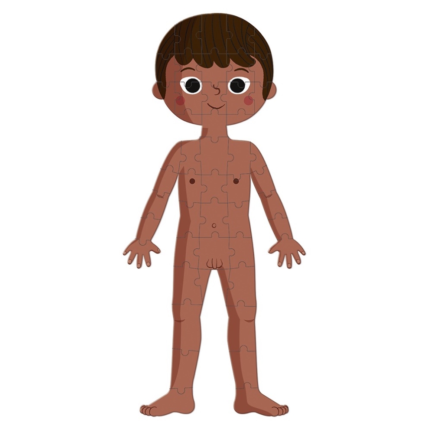 Simple illustrated diagram of a child figure showing basic body anatomy and proportions