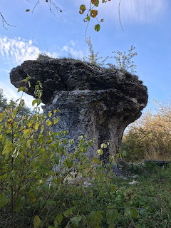 Mushroom-shaped stone rock formation surrounded by green vegetation under a blue sky