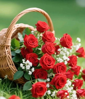 Red Roses in Wicker Basket