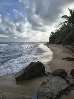 Sandy beach with ocean waves, rocks, and palm trees beneath a cloudy sky