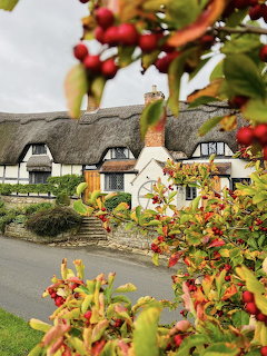White thatched cottage with black timber beams surrounded by colorful garden flowers and stone wall