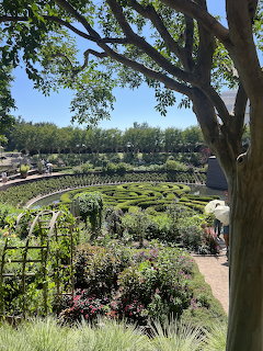 Getty Garden Hedge Maze