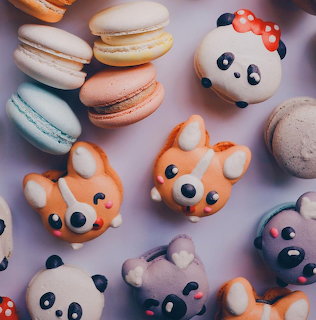 Animal Macarons