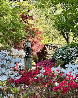 Spring garden with colorful azaleas and statue under trees