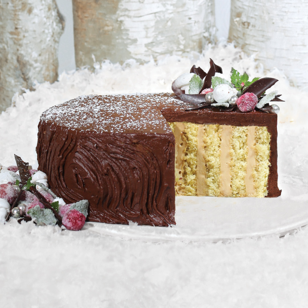 Sliced chocolate yule log cake with vanilla layers, decorated with berries and pine cones in winter scene
