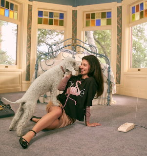 Woman in green hoodie sitting on carpet playing with white poodle in sunroom with colorful stained glass windows