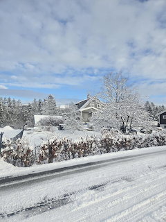Snow-covered suburban house with white trees and clouded sky in winter