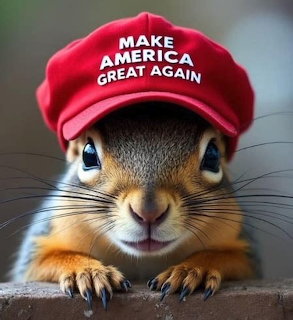 Cute squirrel wearing a red MAGA cap, peering over a ledge with big eyes and tiny claws