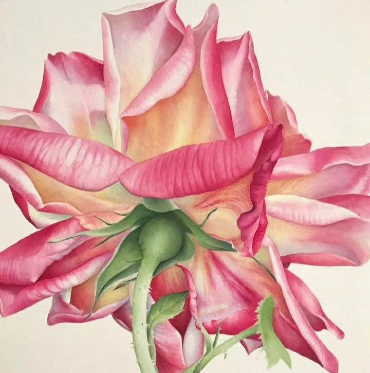 Pink Rose Painting