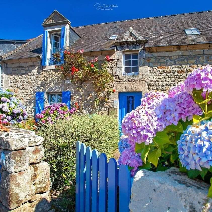 Stone cottage with blue shutters surrounded by colorful hydrangea flowers in garden