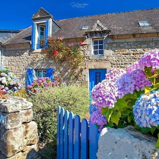 Stone Cottage with Hydrangeas