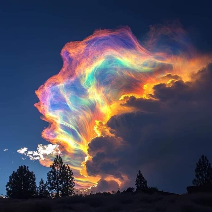 Rainbow-colored cloud in a dark blue sky above silhouetted trees