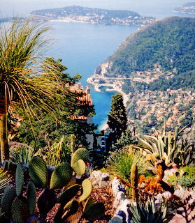 Coastal Mediterranean view through exotic garden plants overlooking blue bay and hillside town