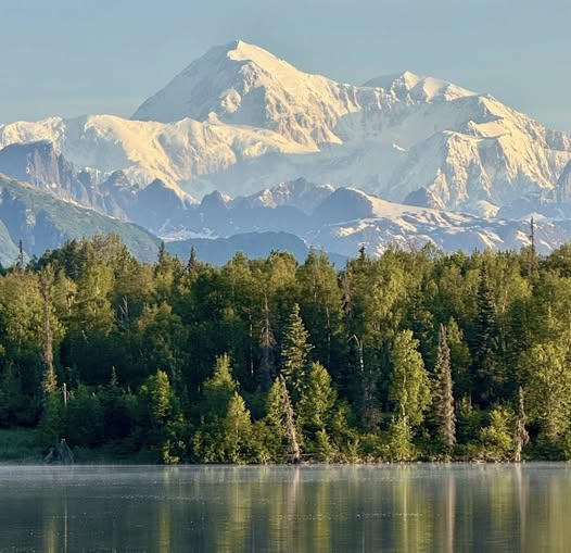 Snowy mountain peak behind green forest and tranquil lake