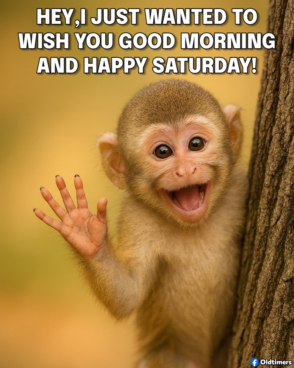 Smiling baby monkey waving beside a tree with a good morning Saturday text overlay