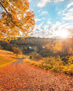Country road covered in orange autumn leaves leading to a rural village at sunset with colorful fall foliage