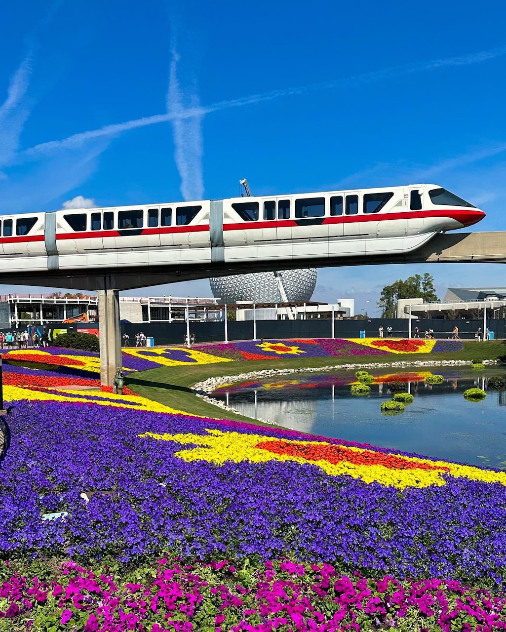 Disney monorail passing over colorful flower beds with blue sky background