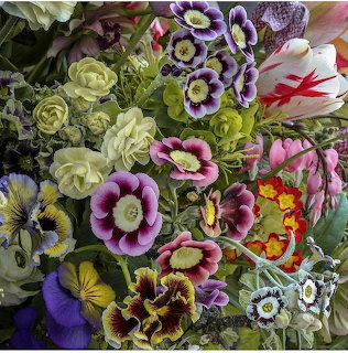 Overhead view of colorful spring flowers including purple pansies, pink primroses, white tulips, and yellow blooms