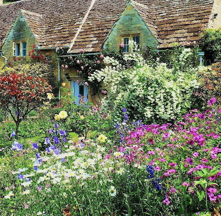 Cottage Garden Flowers