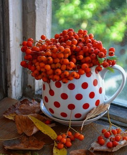 Orange-red berries in white polka dot mug with autumn leaves on wooden windowsill