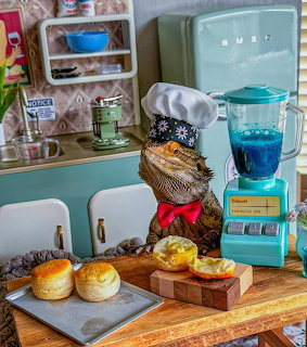 Bearded dragon in chef hat and red bow tie with biscuits in a miniature retro kitchen