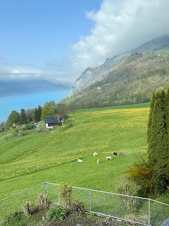 Walenstadt Switzerland Farmland