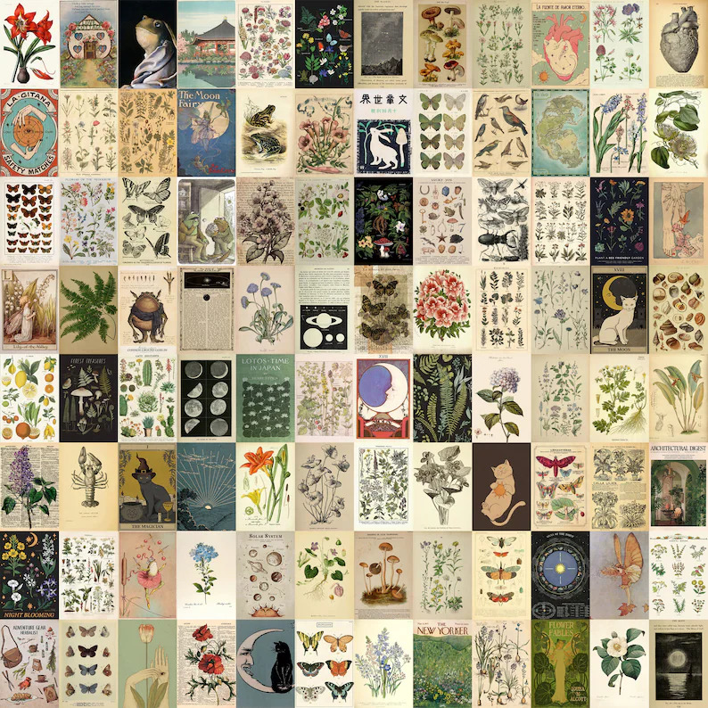 Grid collage of vintage botanical prints and natural history illustrations with flowers, plants, and insects
