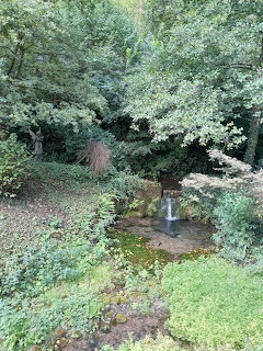 Wookey Hole Stream
