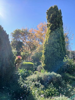Formal garden with tall cypress, ornamental shrubs, decorative urn and autumn trees under blue sky