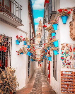 Cordoba Spain Flower Street