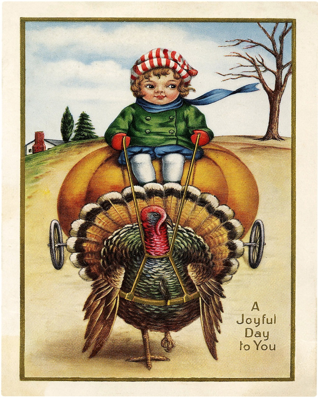Thanksgiving Postcard