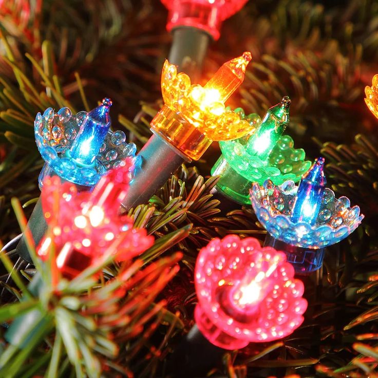 Colorful vintage-style Christmas lights glowing on a pine tree branch