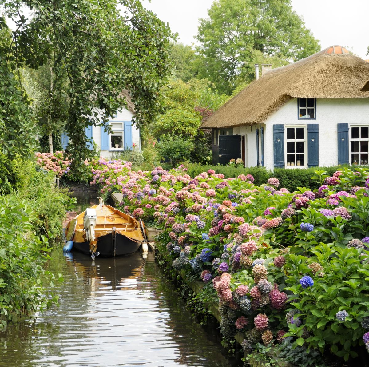 Thatched cottages beside a narrow canal with a wooden boat and blooming hydrangeas