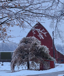 Ice Storm Red Barn