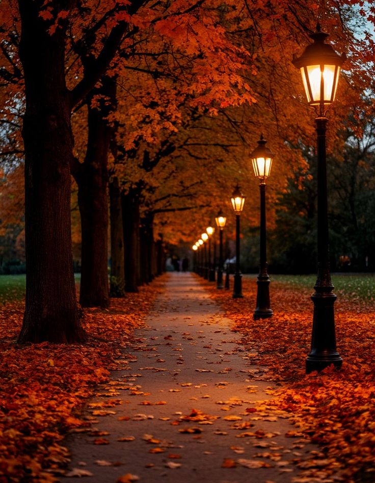 Tree-lined park path covered in orange autumn leaves lit by glowing street lamps at night